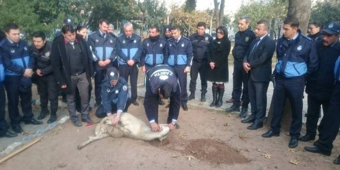 Efeler Belediye Zabıtası’ndan Çevik Kuvvet’e Moral Ziyareti