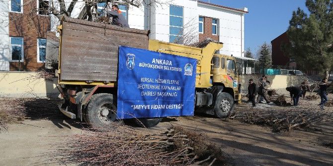 Ankara Büyükşehir Belediyesinden Çiftçilere Meyve Fidanı Desteği