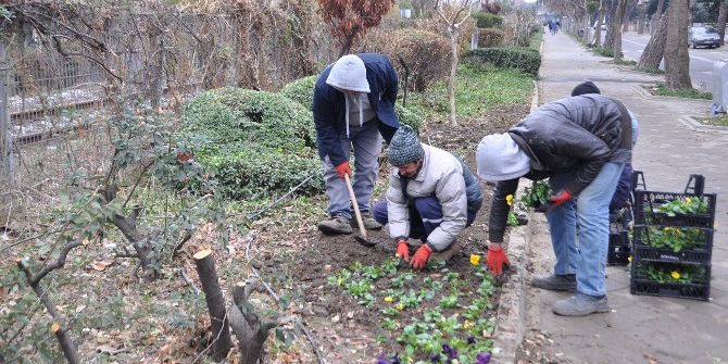 Salihli’de Parklar Kışa Hazır