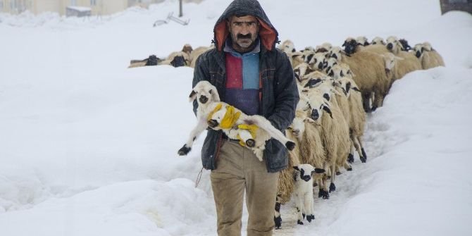 Ovacık’ta Kar Yağışı Hayvancılıkla Uğraşanları Da Etkiliyor