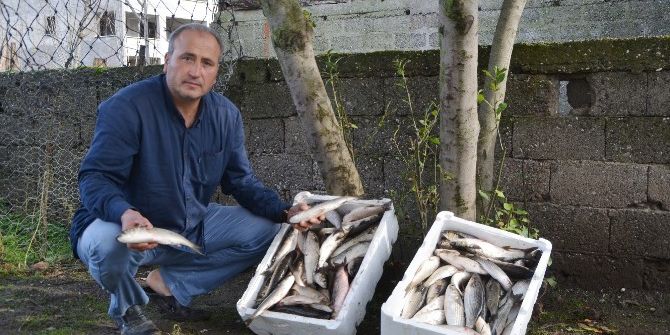 Halep’e 100 Kilo Balık Desteği