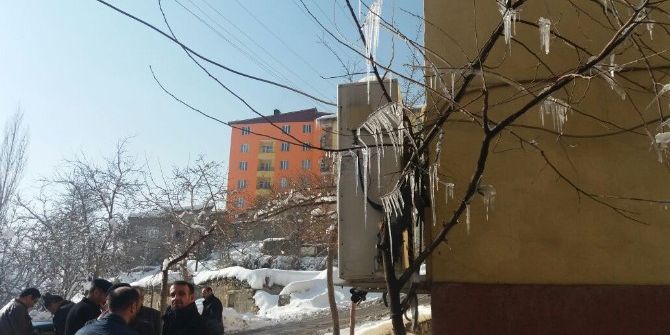 Hakkari’de Ağaçlar Buz Tuttu