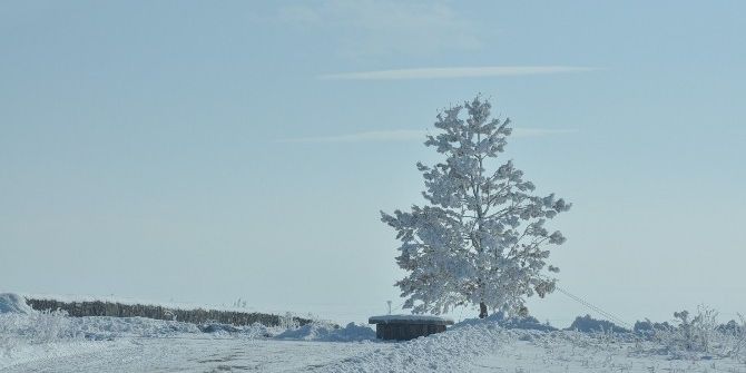 Kars’ta Kırağı Tutan Ağaçlar Kartpostallık Görüntüler Oluşturdu
