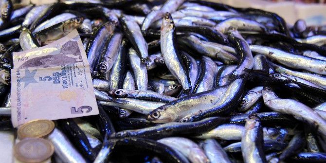 Hamsi Fiyatları 2 Kat Arttı