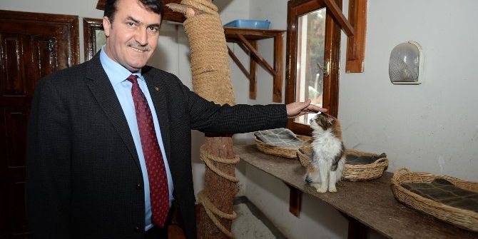 Sokak Hayvanları Sahipsiz Kalmadı