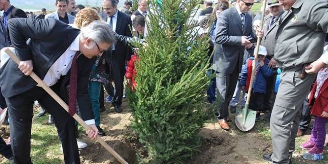 Yıl Başında Ağaç Kesme Fidan Dik