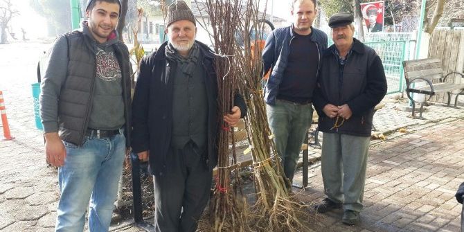 Meyve Fidanları Nilüfer Belediyesi’nden
