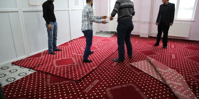 Haliliye Belediyesi Halı Dağıtımlarına Devam Ediyor