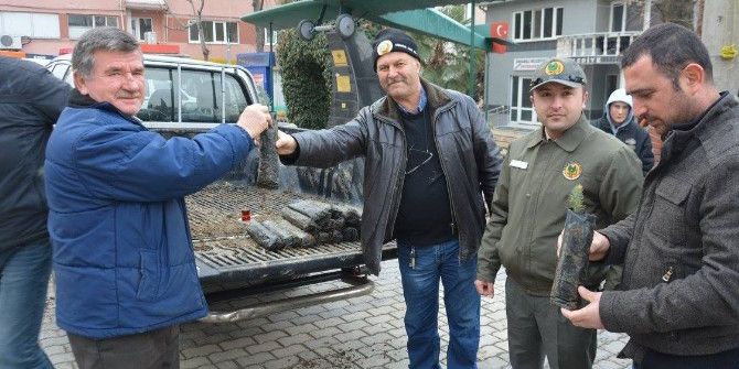 Orman İşletmesi’nden Vatandaşlara Yeni Yıl Fidanı