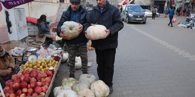 Yeni Yıl Kabakları Alıcı Bekliyor