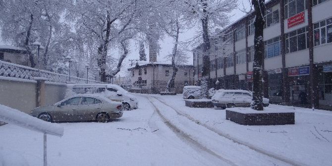 Gölpazarı’nda 40 Köy Yolu Ulaşıma Kapalı