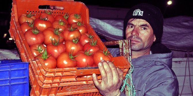 Kara Kış Antalya’da Çiftçinin Yüzünü Güldürdü