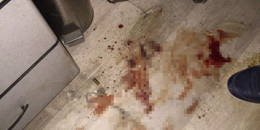 Diyarbakır’da Ailesiyle Tartışan Genç Kendini Silahla Vurdu