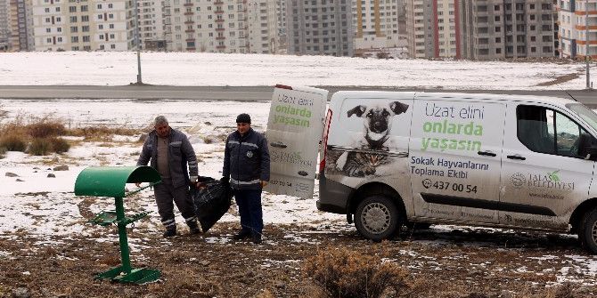 Talas Belediyesi Yaban Ve Sokak Hayvanlarını Unutmadı