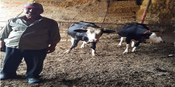 Orman Bakanlığından Köylülere Ekonomik Destek