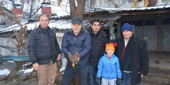 Yolda Bulduğu Yaralı Kartalı Tedavi Ettirdi