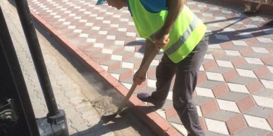 Çalışmalar Daha Temiz Bir Kırkağaç İçin