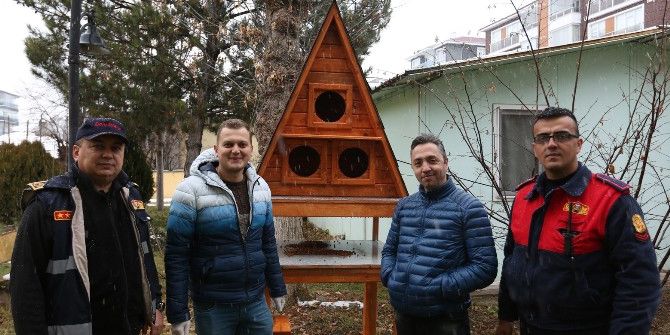 Bolu‘da Sokak Kedileri İçin ‘Kedi Köşkleri’ Yapıldı