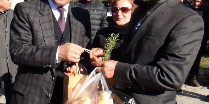 Ormandan ‘Kesme, Dik’ Kampanyası