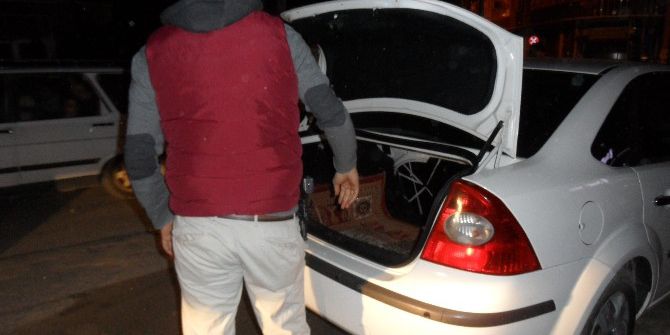 Ceylanpınar’da Asayiş Uygulaması Yapıldı