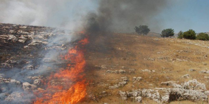 Adıyaman’da Orman Yangını Büyüyor
