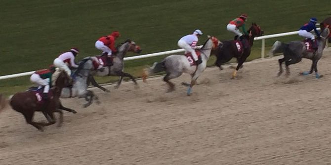 İzmir’de Atlar Milas İçin Koştu