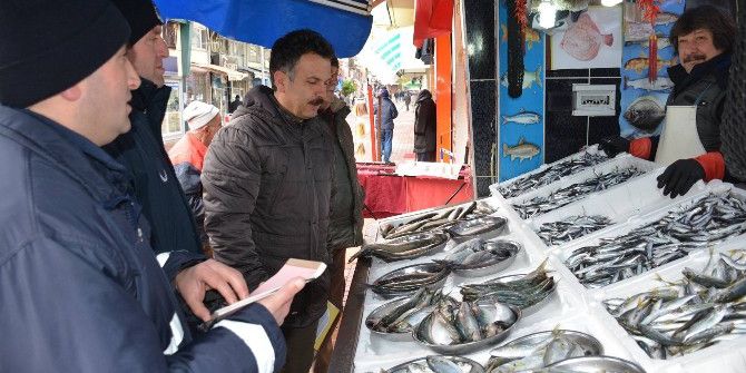 Görele’de Zabıta Ekipleri Balıkçıları Denetlendi