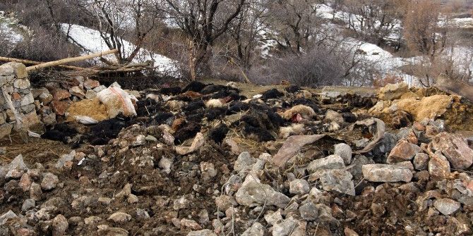 Ahır Çöktü, 180 Keçi Telef Oldu