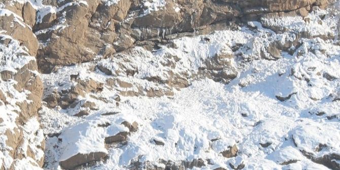 Hakkari’de Dağ Keçileri Görüntülendi