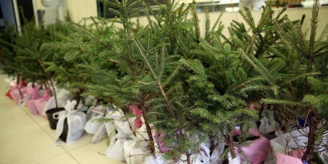 Ordulu Esnaftan “Yılbaşında Ağaç Kesme Fidan Dik” Kampanyası