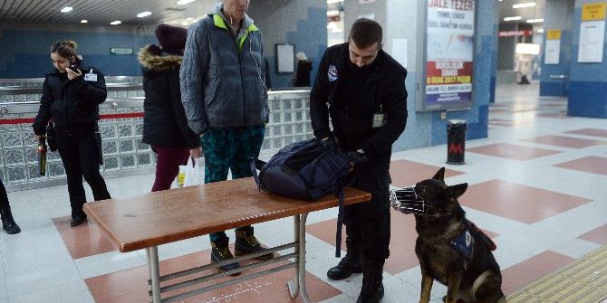 Metroda K-9 Köpekleriyle Güvenlik