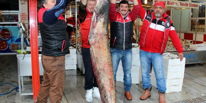 Balıkçılardan 3 Büyük Av