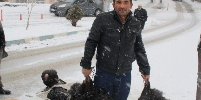Yozgat’ta Yılbaşı Hindi Satışları Yüzleri Güldürdü