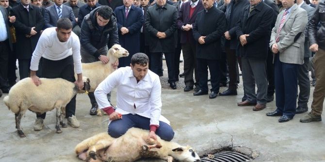Şanlıurfa’da Şehit Polisler İçin Kurban Kesildi