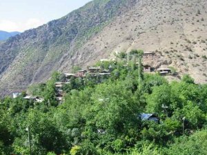 Artvin Ballıüzüm Köyü