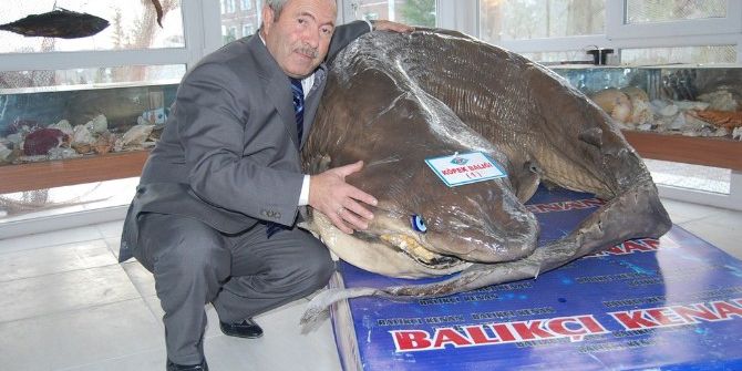 Yeni Yılda Yeni Mumyalar