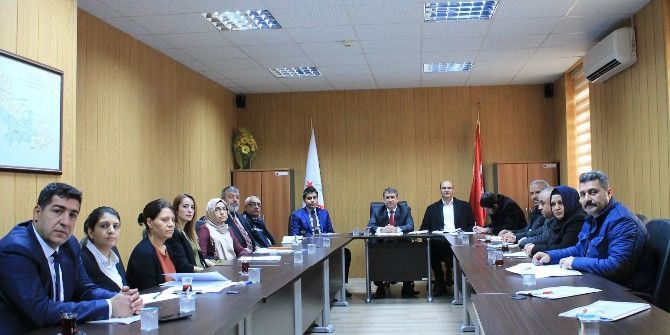 Bebek Ölümlerini Önleme Ve Değerlendirme Çalıştayı