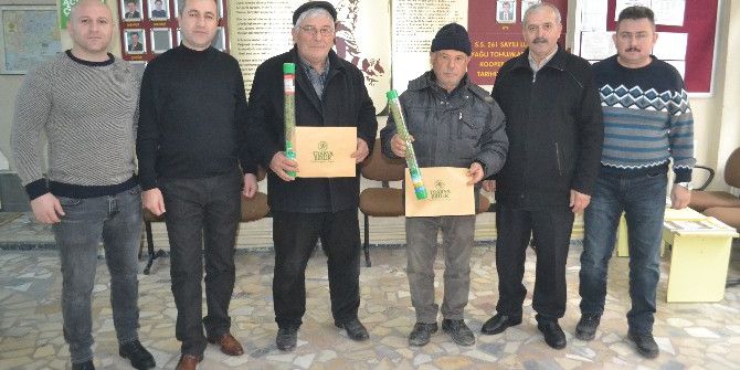 50’nci Yıl Anısına 50 Bin Fidan