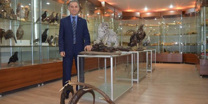 Ktü Yaban Hayatı Müzesi’nde Yok Yok