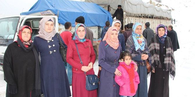 Genç Çiftçilere İthal Hayvan Desteği