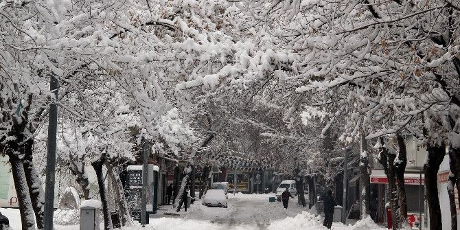 Nevşehir’de Yoğun Kar Ağaçların Dallarını Kırdı