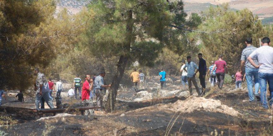 Adıyaman’da, Orman Yangını Kontrol Altına Alındı