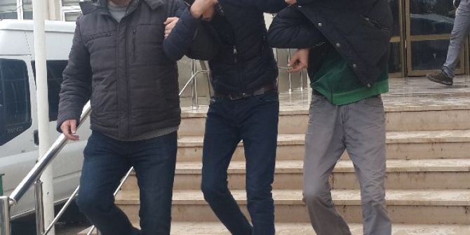 Bursa’da Bonzai Operasyonu