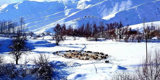 Kar Yağışı Çiftçileri Sevindirdi
