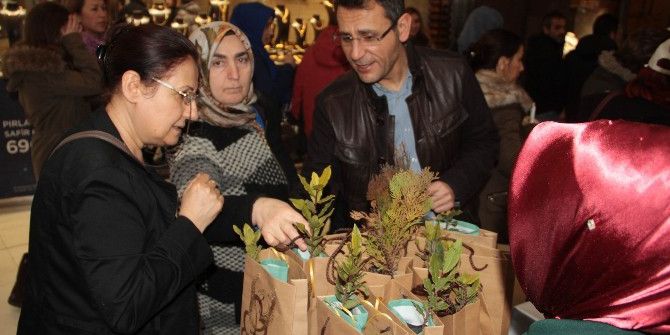 Samsun’da 4 Bin Fidan Dağıtıldı