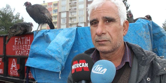 Hindilerini Dolandırıcıya Kaptırdı