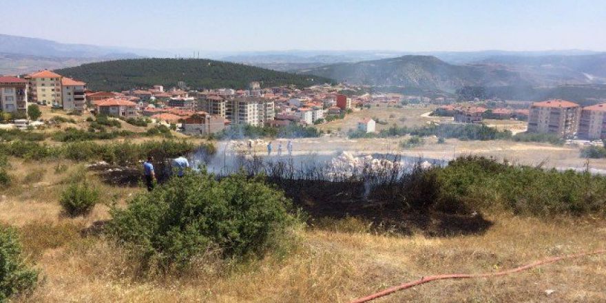 Bilecik’te Ot Yangını