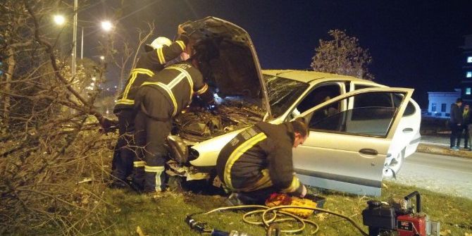 Otomobil Refüjdeki Ağaca Çarparak Durabildi