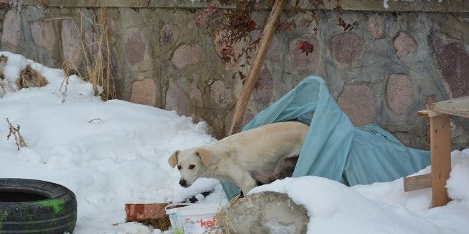 Uşaklı Emekli Öğretmenden Örnek Davranış