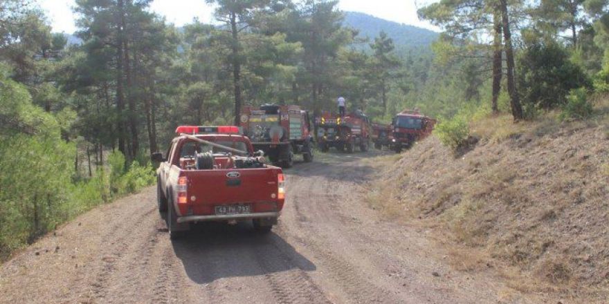 Kütahya’daki Orman Yangını Kontrol Altına Alındı